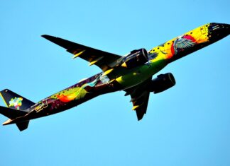 Novos voos da Azul para o Uruguai na alta temporada de verão